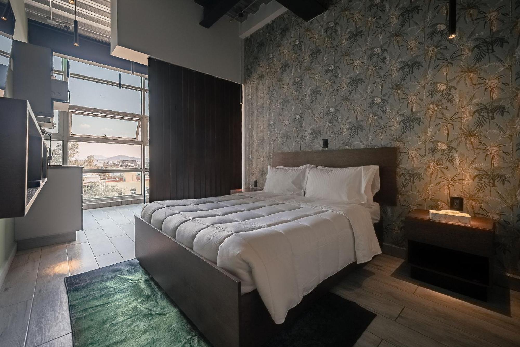 The Jungle Loft Tropical Comfort In A Centric Location With Kitchen مدينة مكسيكو المظهر الخارجي الصورة